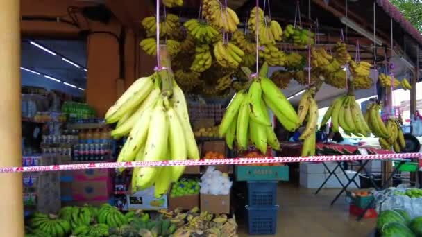 Bangi Malaysia March 2021 Bananas Hanging Shop Man Walking Wearing — Stock Video