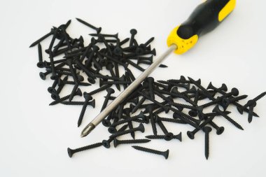 Beyaz arka planda izole edilmiş aynı boyutta siyah vidalar..