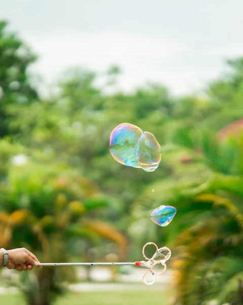 Feche Bolhas Sabão Flutuando Parque Jardim Foco Seletivo — Fotografia de Stock