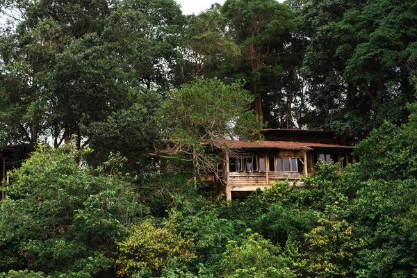 Sahildeki terk edilmiş eski ahşap ev.