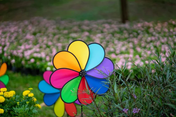 Parkta renkli gökkuşağı fırıldağı.