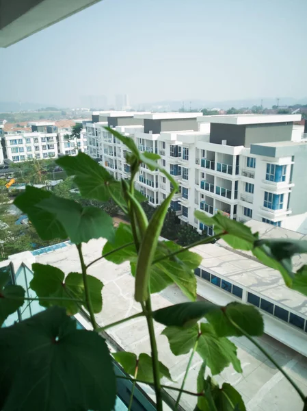 Apartment buildings, view from the balcony garden.