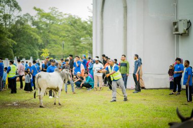 Selangor, Malezya 11 Ağustos 2019 - 