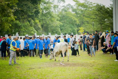Selangor, Malezya 11 Ağustos 2019 - 