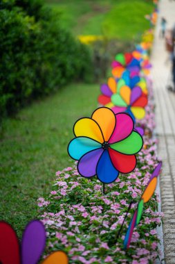 Parkta renkli gökkuşağı fırıldağı.