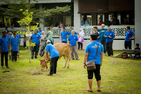 Selangor Malajsie Srpna 2019 Obětní Hostina Známá Také Jako Hari — Stock fotografie