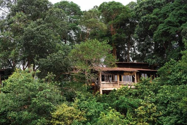 Sahildeki terk edilmiş eski ahşap ev.