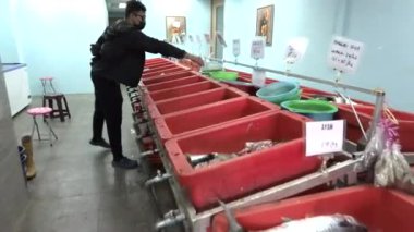 Bangi, Malezya - 7 Mart 2021 - Freshmart müşterileri balık pazarı.