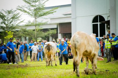 Selangor, Malezya 11 Ağustos 2019 - 