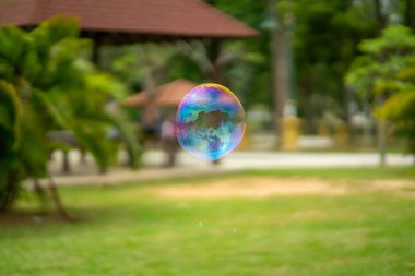 Bahçe parkında yüzen sabun köpüklerini kapat. (Seçici odaklanma)