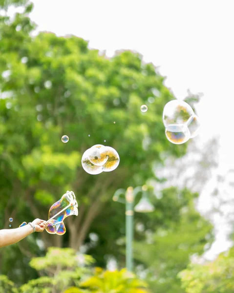 Close up Soap bubbles floating in the garden park.(Selective focus)