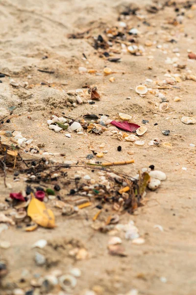 Derramou Lixo Praia Cidade Grande Mar Sujo Costa Arenosa Poluição — Fotografia de Stock
