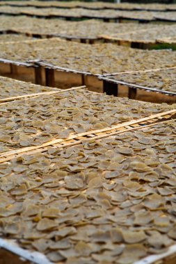 Kurutulmuş balık krakerlerine yakın çekim. Endüstri. Keropok ikan balık krakerlerinin balık ve baharattan yapılma ve lezzet veren krakerlerdir.,