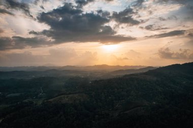 Malezya 'nın Terengganu kentindeki dağın ortasındaki orman tahribatının hava görüntüsü.