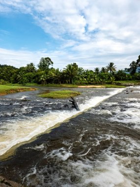 Yağmur ormanlarının yakınındaki dereden akan suya yaklaş..