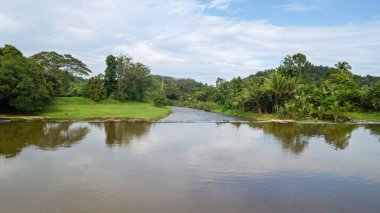 Malezya 'daki yağmur ormanlarının yakınındaki nehir akıntısı.