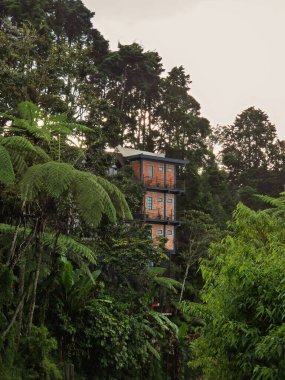 Cameron Highlands, Malezya 'da endüstriyel boş mimari daire.