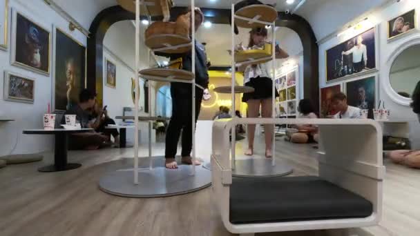 Cat cafe, a lot of people are playing with cats. Time lapse — Stok video