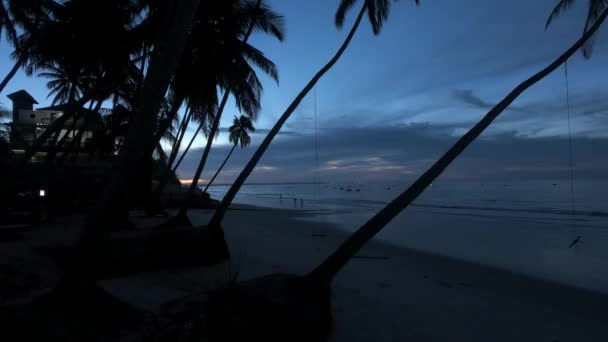 在热带海滩上日出美丽的棕榈树时光流逝 — 图库视频影像