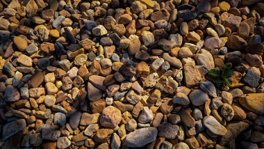 Çakıl taşları ve nehir taşlarının doğal bir çeşidi, sıcak toprak tonlarında, peyzaj, bahçe sınırları, patikalar veya dekoratif kaya yüzeyleri için idealdir. Bahçe ve bahçe dekorasyonu için doğal çakıl taşları ve nehir taşları.