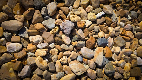 Çakıl taşları ve nehir taşlarının doğal bir çeşidi, sıcak toprak tonlarında, peyzaj, bahçe sınırları, patikalar veya dekoratif kaya yüzeyleri için idealdir. Bahçe ve bahçe dekorasyonu için doğal çakıl taşları ve nehir taşları.