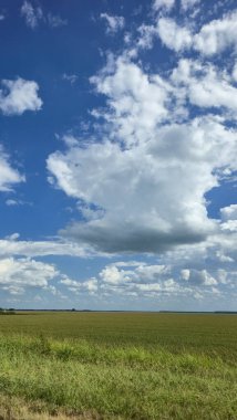 Manzaralı güzel kırsal Amerika manzarası yeşil hızlı kara ve uzak ağaçlarla çevrili mavi bir gökyüzünün altında canlı yeşil bir tarlaya sahiptir. Parlak Alan Üzerinde Kabarık Bulutlarla Açık Kırsal Gökyüzü