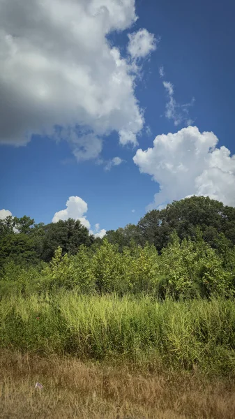 Manzaralı güzel kırsal Amerika manzarası yeşil hızlı kara ve uzak ağaçlarla çevrili mavi bir gökyüzünün altında canlı yeşil bir tarlaya sahiptir. Parlak Alan Üzerinde Kabarık Bulutlarla Açık Kırsal Gökyüzü