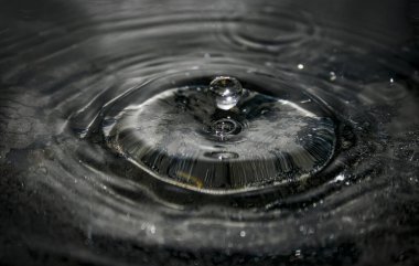 Dar bir sütundan yükselen bir su damlasının makro görüntüsü karanlık ve yansıtıcı bir yüzey üzerinde eş merkezli dalgalanmalar oluşturur. Bilim, doğa ve güzel görseller için ideal. Su Damlacığını Kapat Karanlık Bir Damlaya Tek Damlaya Dramatik Makro Bir Damlacık Damlası