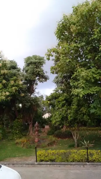 Belle Vue Sur Nature Jardin Intérieur Station Avec Fontaine Eau — Photo