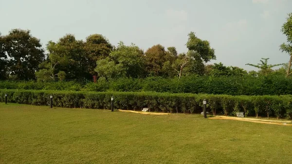 Bela Vista Jardim Com Grama Verde Árvores Verdes Redor — Fotografia de Stock