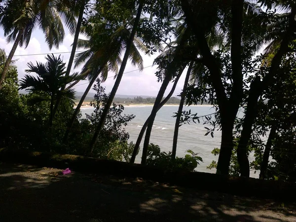 Excellent view of sea with trees along the side and nice looking sky