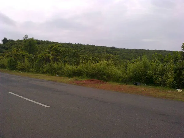 Teerstraße Mit Dichtem Wald Und Bäumen Straßenrand Indien — Stockfoto