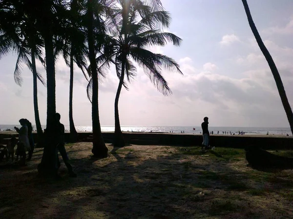 Malam Pantai Laut Dengan Pohon Pohon Yang Indah Dan Awan — Stok Foto