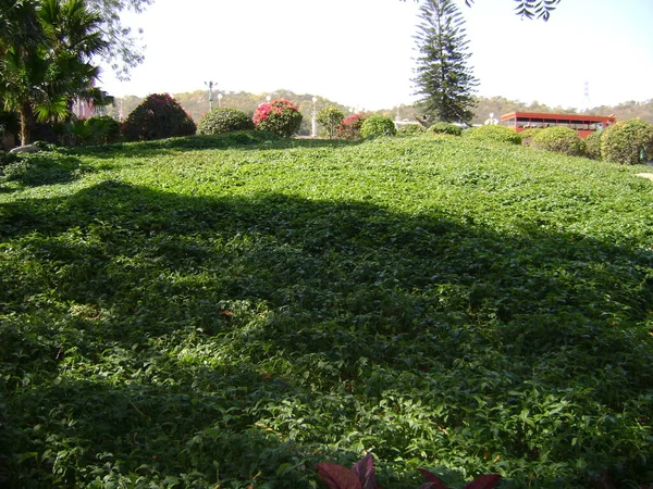 Grande Jardim Parque Com Árvores Verdes Coloridas — Fotografia de Stock