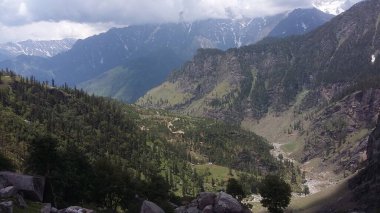 Dağların yamacında ağaçlarla dağların ve vadinin güzel manzarası.