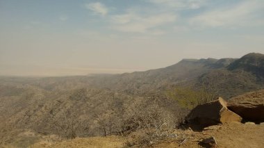 Hindistan 'daki Kutch' ta ormanın güzel manzarası.