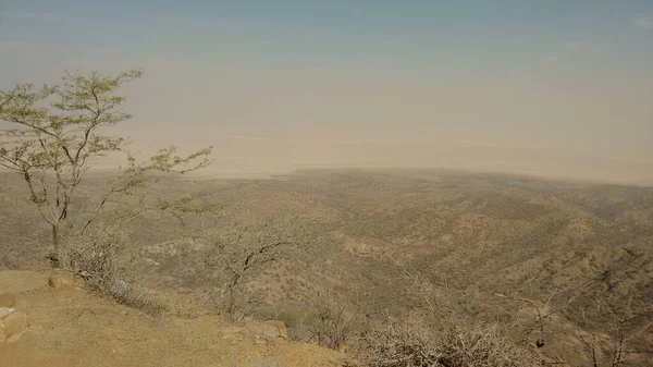Hindistan 'daki Kutch dağının tepesinden orman ve gökyüzü manzaralı güzel bir manzara.