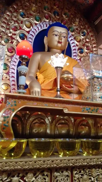 Belle Statue Dorée Bouddha Dans Temple Dharamshala Inde — Photo