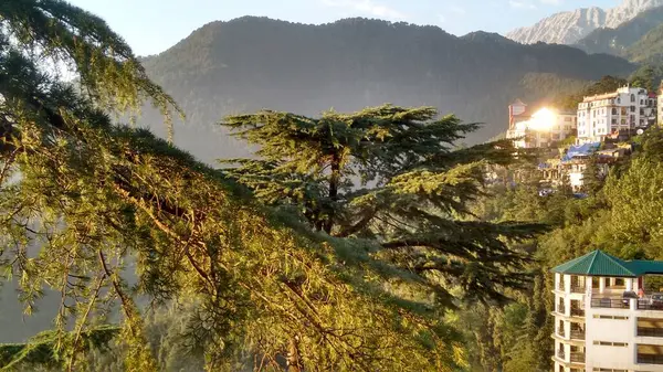 Krásný Výhled Hory Vrcholu Dharamshala Indii — Stock fotografie