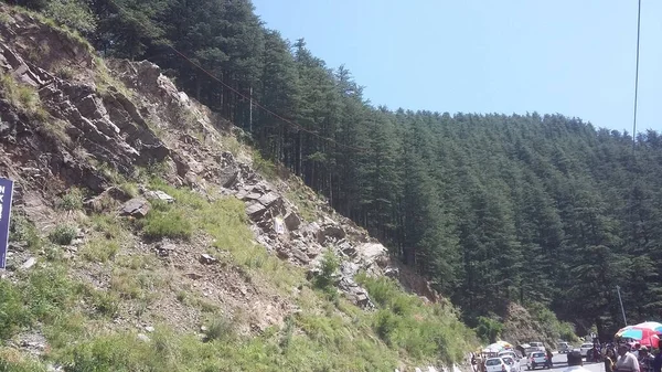 从印度Shimla的公路上俯瞰山顶上的森林美景 — 图库照片