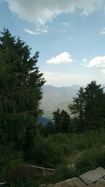 Krásný Výhled Pohoří Vrcholu Kopce Shimla Indii — Stock fotografie