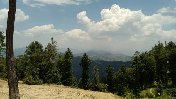 Hermosa Vista Los Árboles Pendiente Junto Con Una Bonita Vista —  Fotos de Stock