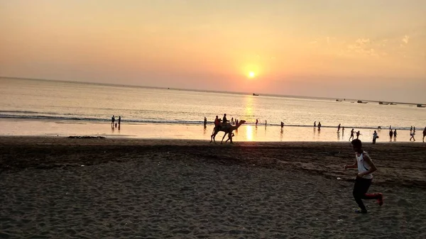 Prachtig Uitzicht Het Strand Bij Zonsondergang Met Kameel Rijden India — Stockfoto