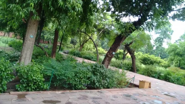 Vacker Utsikt Över Landskapet Trädgård Utomhus Med Fin Promenadväg Indien — Stockfoto
