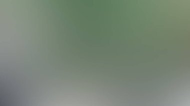 Beyaz kağıdın üzerindeki yaprağın soyut bulanık doğası pastel renkler üzerinde bahar ya da yaz zamanı için yumuşak stil, metin için alan, arka plan için uygun.