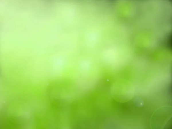 Abstract Green Bokeh Background Green White Flowers Blurred Background — Stock Photo, Image