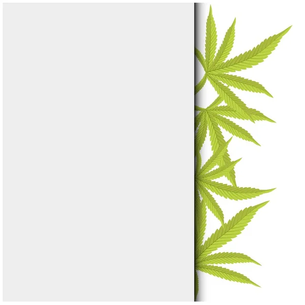 Cannabis Realistic Images Realistic Vector Natural Pattern Nature Background — Stock Vector