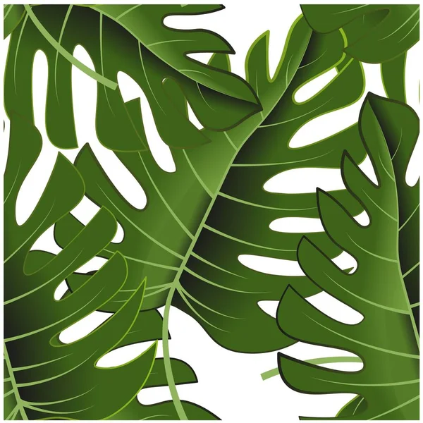 Beautiful Tropical Leaves Great Design Any Purposes Tropical Monstera Leaf — Vector de stock