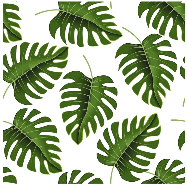 Lindas Folhas Tropicais Ótimo Design Para Qualquer Finalidade Tropical Monstera — Vetor de Stock