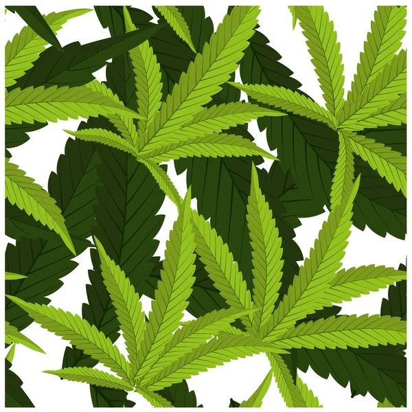Beautiful Realistic Closeup Green Cannabis Colorful Background Wallpaper Design Botanical — Stock Vector